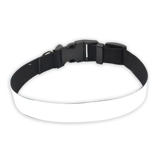 Collier pour chien